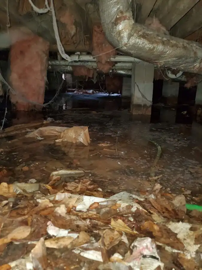 Crawl space flood assessment for Leak Detection & Repair in Kings Grant
